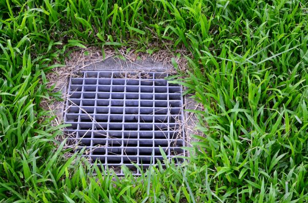 Yard Drainage Service in Tucson