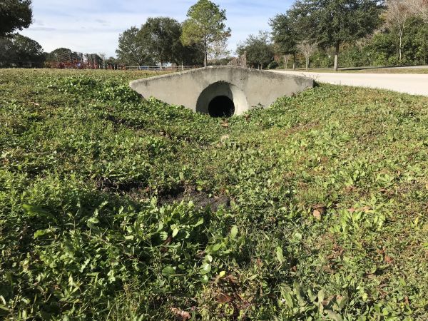 Cost of Swale Drainage Service in Tucson